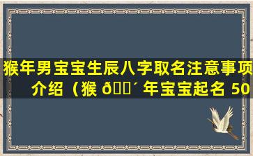 猴年男宝宝生辰八字取名注意事项介绍（猴 🌴 年宝宝起名 500个好听的男生名字精选）